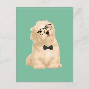 Cute Hipster Reddish Havanese Puppy for Hondenlief Briefkaart