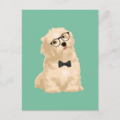 Cute Hipster Reddish Havanese Puppy for Hondenlief Briefkaart (Voorkant)
