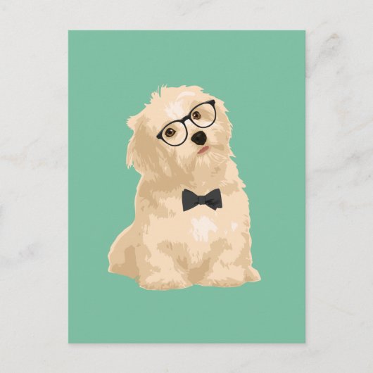 Cute Hipster Reddish Havanese Puppy for Hondenlief Briefkaart (Voorkant)