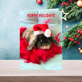 Cute Holland Lop Bunny Kerstkaart Kaart