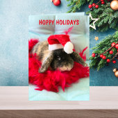 Cute Holland Lop Bunny Kerstkaart Kaart