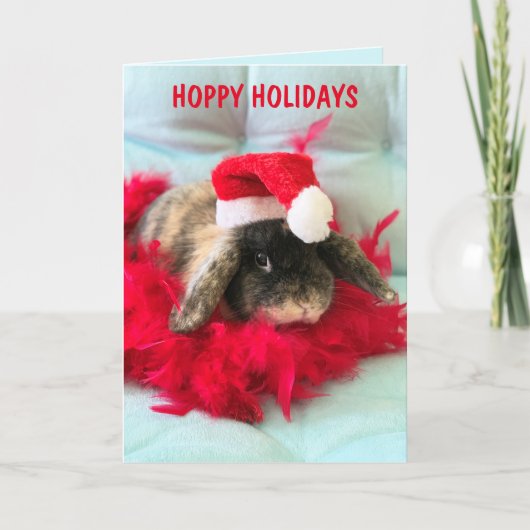 Cute Holland Lop Bunny Kerstkaart Kaart (Voorkant)