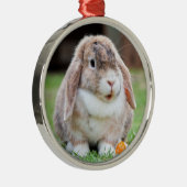 Cute Holland Lop Dwarf Bunny Rabbit Metalen Ornament (Rechts)