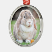 Cute Holland Lop Dwarf Bunny Rabbit Metalen Ornament (Links)