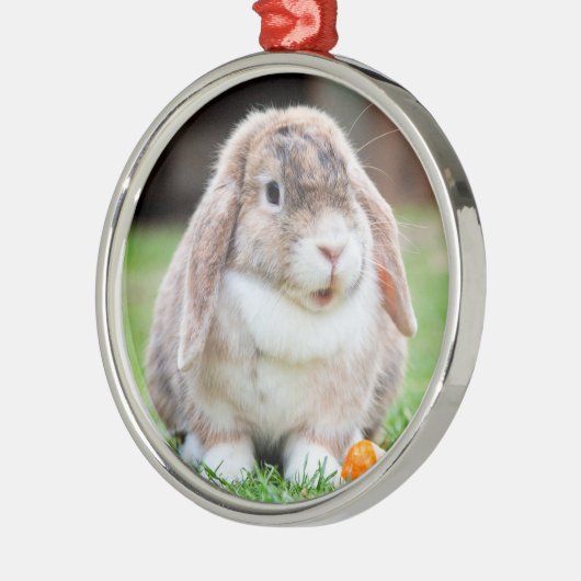 Cute Holland Lop Dwarf Bunny Rabbit Metalen Ornament (Links)