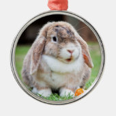 Cute Holland Lop Dwarf Bunny Rabbit Metalen Ornament (Voorkant)