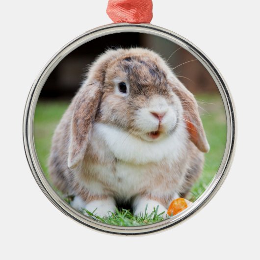 Cute Holland Lop Dwarf Bunny Rabbit Metalen Ornament (Voorkant)
