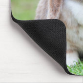 Cute Holland Mini Lop Bunny Rabbit Muismat (Hoek)