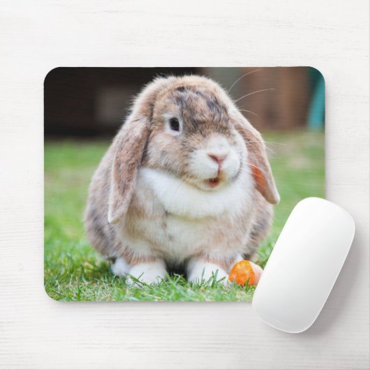 Cute Holland Mini Lop Bunny Rabbit Muismat (Met muis)