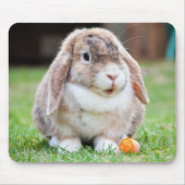Cute Holland Mini Lop Bunny Rabbit Muismat (Voorkant)