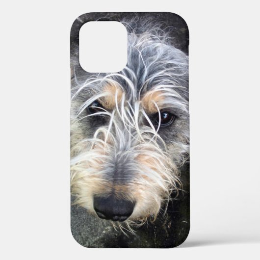 Cute hond Case-Mate iPhone hoesje (Achterkant)