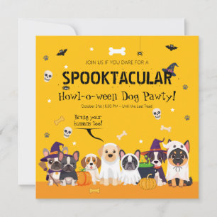 Cute Hond Halloween Feest   Huisdierkostuum Howl-o Kaart