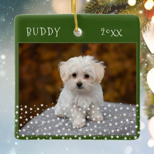 Cute Hond huisdier 2 Foto's Ster Patroon Groen Ker Keramisch Ornament
