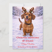 Cute Hond Kerst Mooie Quote | Kerstkaart (Voorkant)