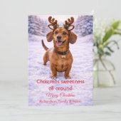 Cute Hond Kerst Mooie Quote | Kerstkaart (Staand voorkant)