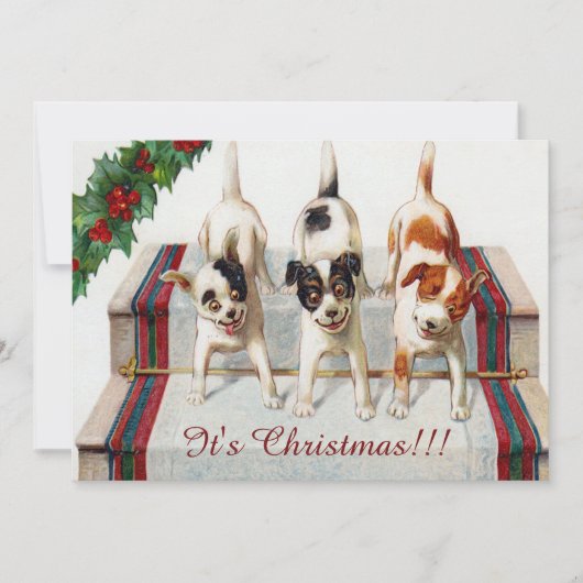 Cute Hond Kerstfeest Kaart (Voorkant)