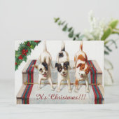 Cute Hond Kerstfeest Kaart (Staand voorkant)