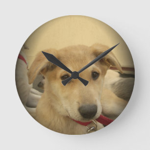 Cute Honden en Puppies Mans tweede Beste Vriend.pn Ronde Klok