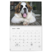 Cute Hondenras Saint Bernard Puppy Calendar Kalender (Mar 2026)