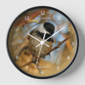 Cute Hopeful Black Capped Chickadee Songbird (Voorkant)