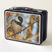Cute Hopeful Black Capped Chickadee Songbird (Achterkant)