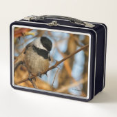 Cute Hopeful Black Capped Chickadee Songbird (Voorkant)