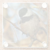 Cute Hopeful Black Capped Chickadee Songbird Glazen Onderzetter (Achterkant)