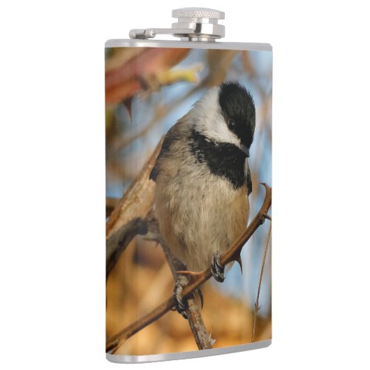 Cute Hopeful Black Capped Chickadee Songbird Heupfles (Rechts)