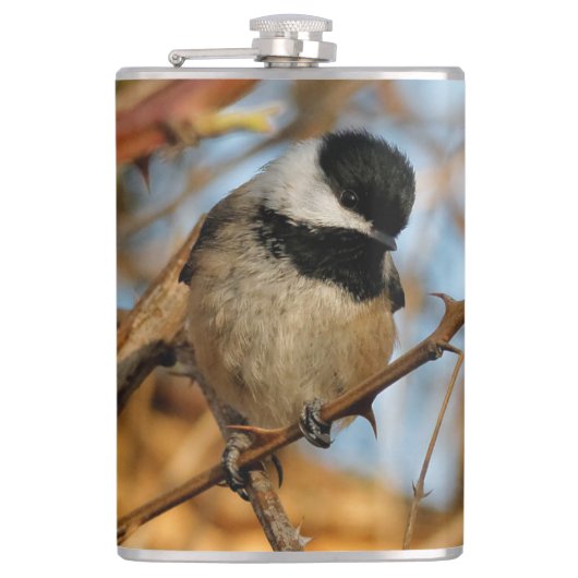 Cute Hopeful Black Capped Chickadee Songbird Heupfles (Voorkant)