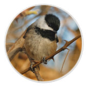 Cute Hopeful Black Capped Chickadee Songbird Keramische Knop (Voorkant)