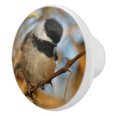 Cute Hopeful Black Capped Chickadee Songbird Keramische Knop (Rechts)