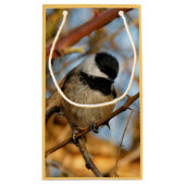 Cute Hopeful Black Capped Chickadee Songbird Klein Cadeauzakje (Achterkant)