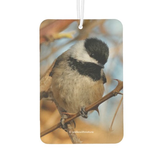 Cute Hopeful Black Capped Chickadee Songbird Luchtverfrisser (Achterkant)