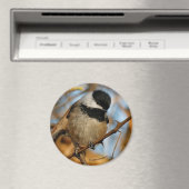 Cute Hopeful Black Capped Chickadee Songbird Magneet (Insitu (Vaatwasser))