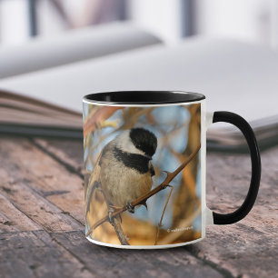 Cute Hopeful Black Capped Chickadee Songbird Mok
