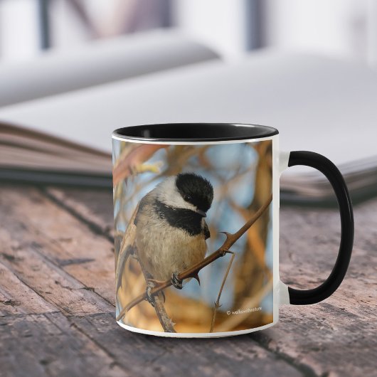 Cute Hopeful Black Capped Chickadee Songbird Mok