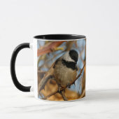 Cute Hopeful Black Capped Chickadee Songbird Mok (Links)