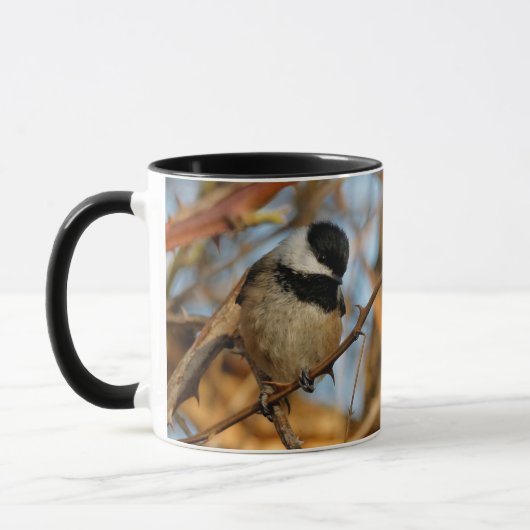 Cute Hopeful Black Capped Chickadee Songbird Mok (Links)
