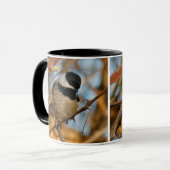 Cute Hopeful Black Capped Chickadee Songbird Mok (Voorkant links)