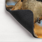 Cute Hopeful Black Capped Chickadee Songbird Muismat (Hoek)