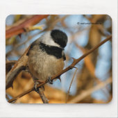 Cute Hopeful Black Capped Chickadee Songbird Muismat (Voorkant)
