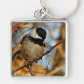 Cute Hopeful Black Capped Chickadee Songbird Sleutelhanger (Voorkant)