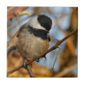 Cute Hopeful Black Capped Chickadee Songbird Tegeltje (Voorkant)