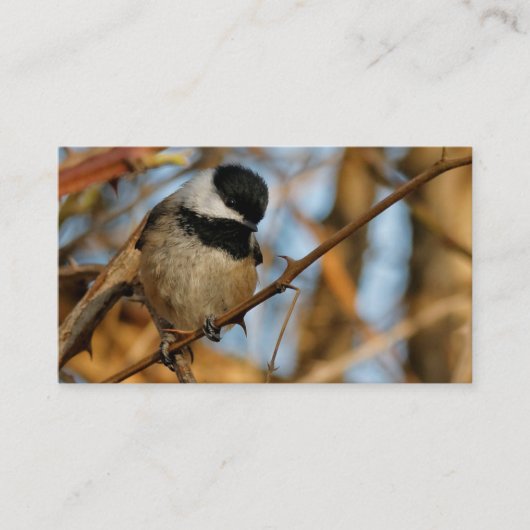 Cute Hopeful Black Capped Chickadee Songbird Visitekaartje (Voorkant)