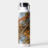 Cute Hopeful Black Capped Chickadee Songbird Waterfles (Voorkant)