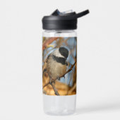 Cute Hopeful Black Capped Chickadee Songbird Waterfles (Links)