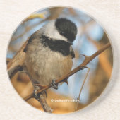Cute Hopeful Black Capped Chickadee Songbird Zandsteen Onderzetter (Voorkant)