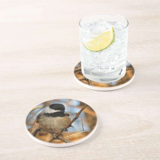 Cute Hopeful Black Capped Chickadee Songbird Zandsteen Onderzetter (Zijkant)