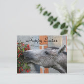 Cute Horse and Flowers Funny Boerderij Happy Pasen Briefkaart (Staand voorkant)