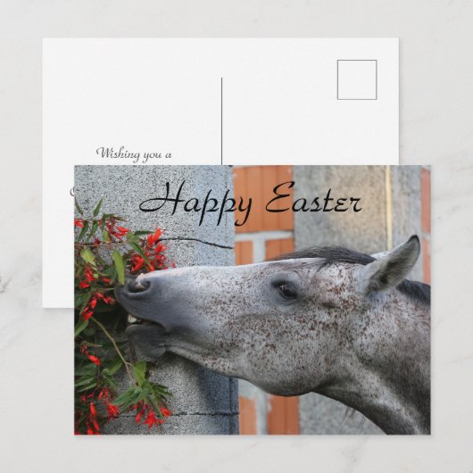 Cute Horse and Flowers Funny Boerderij Happy Pasen Briefkaart (Voorkant / Achterkant)